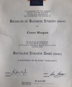 Buy college degree from the Dublin City University