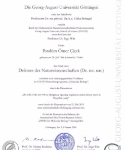 Buy college degree from the Georg-August-Universität Göttingen