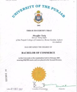 Buy college degree from the University of the Punjab